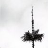 【フィルム】月鉾