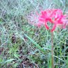 【フィルム】ピントはいずこへ