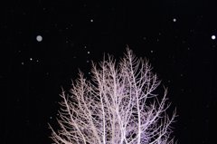 雪