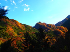 秩父