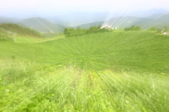 惹かれる力
