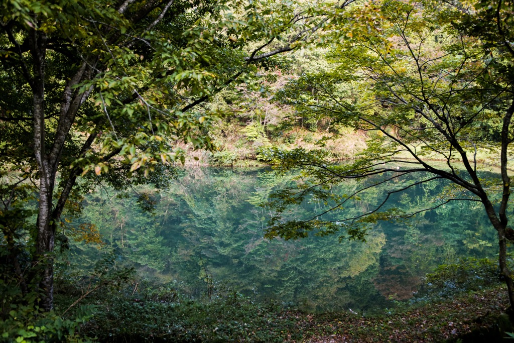 秋の気配