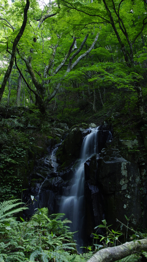 万場の滝