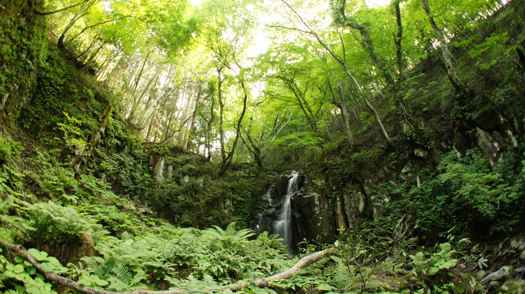 万場の滝・2