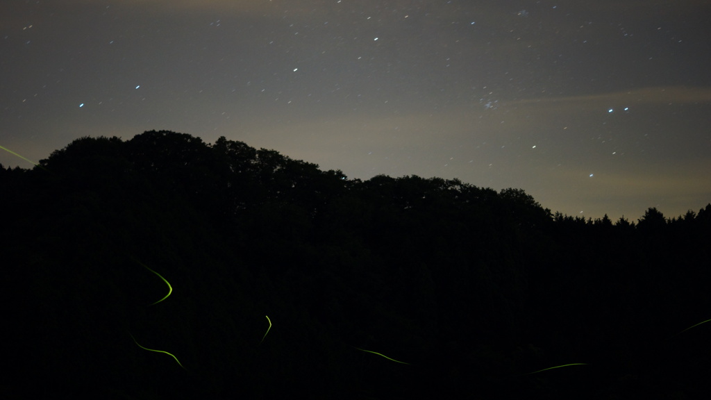 「ホタルと星空」