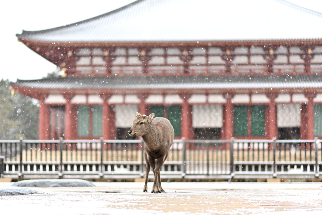 雪降る古都