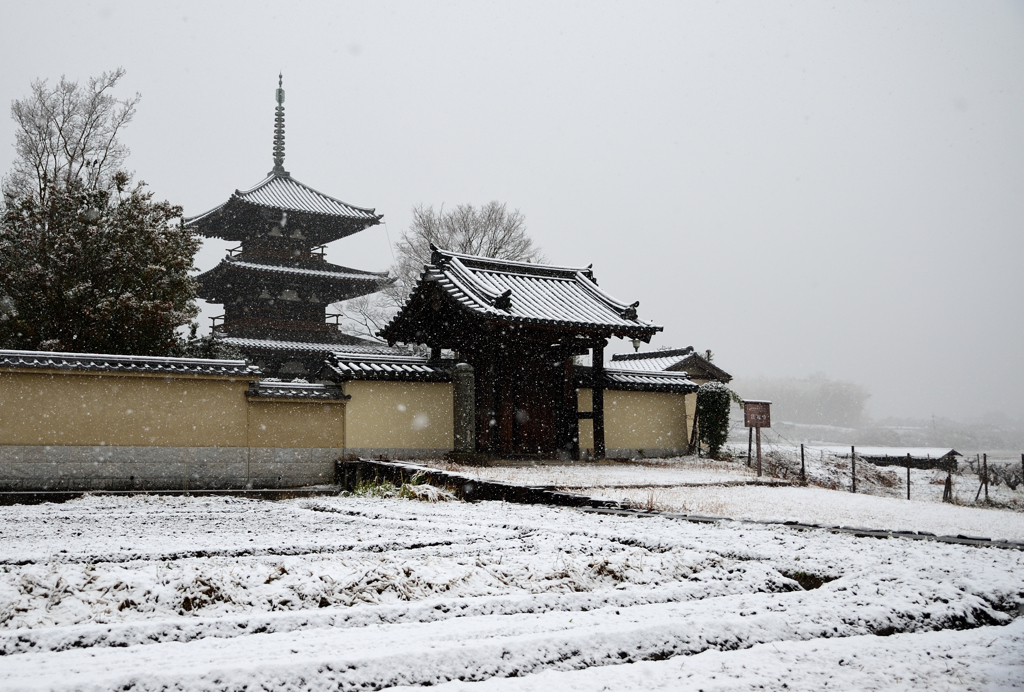 斑鳩に降る雪