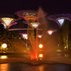 Gardens By The Bay