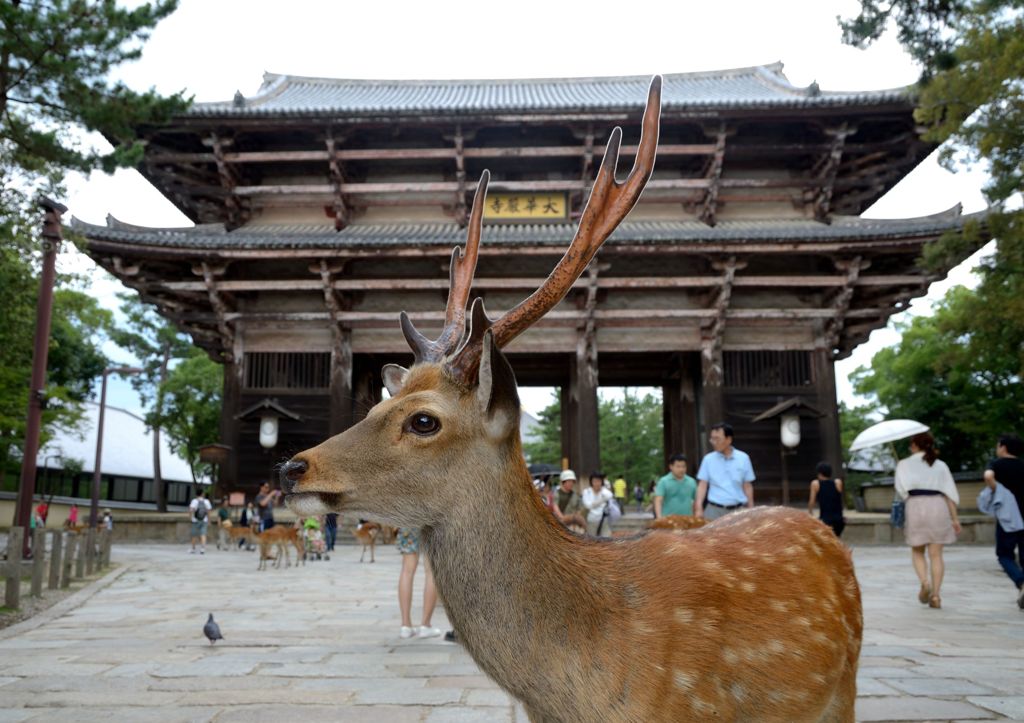お出迎え