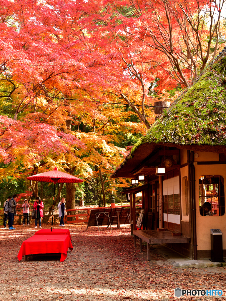 茅葺に紅葉