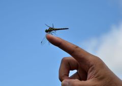 この指　止ーまれ　止まった！