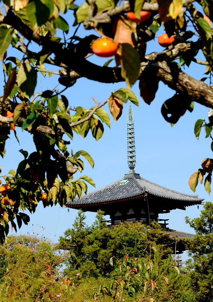 斑鳩と言えば寺と柿。