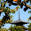斑鳩と言えば寺と柿。