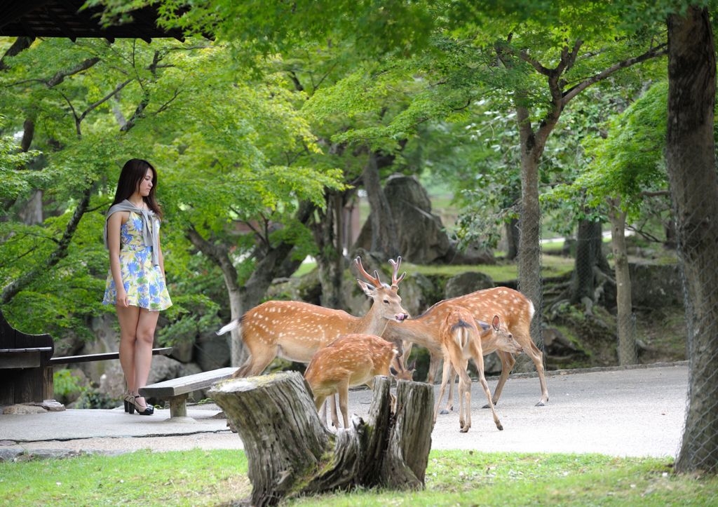 緑に包まれて。