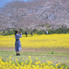 春が撮れたかな？
