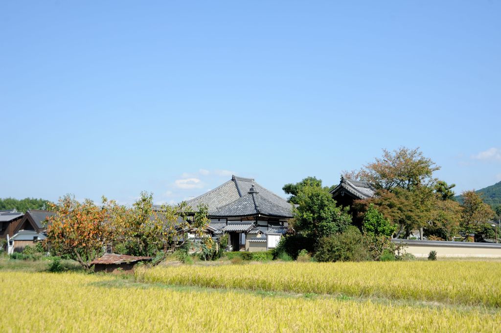 飛鳥寺02