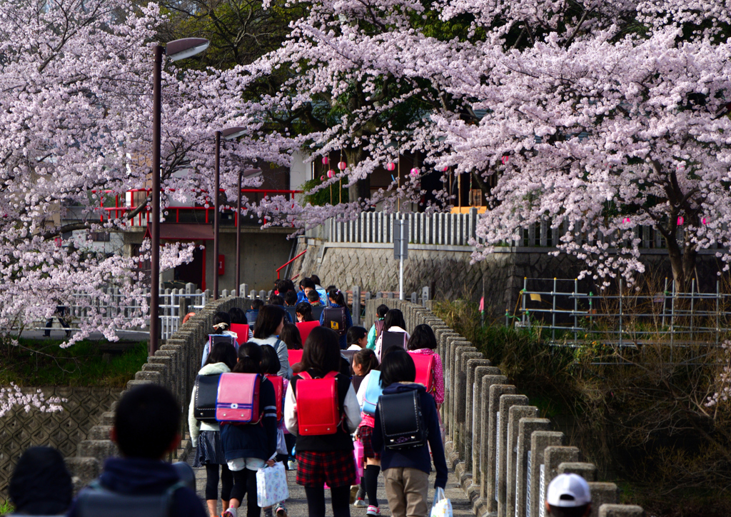 新学期始まる。
