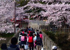新学期始まる。