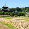 日本の故郷　斑鳩