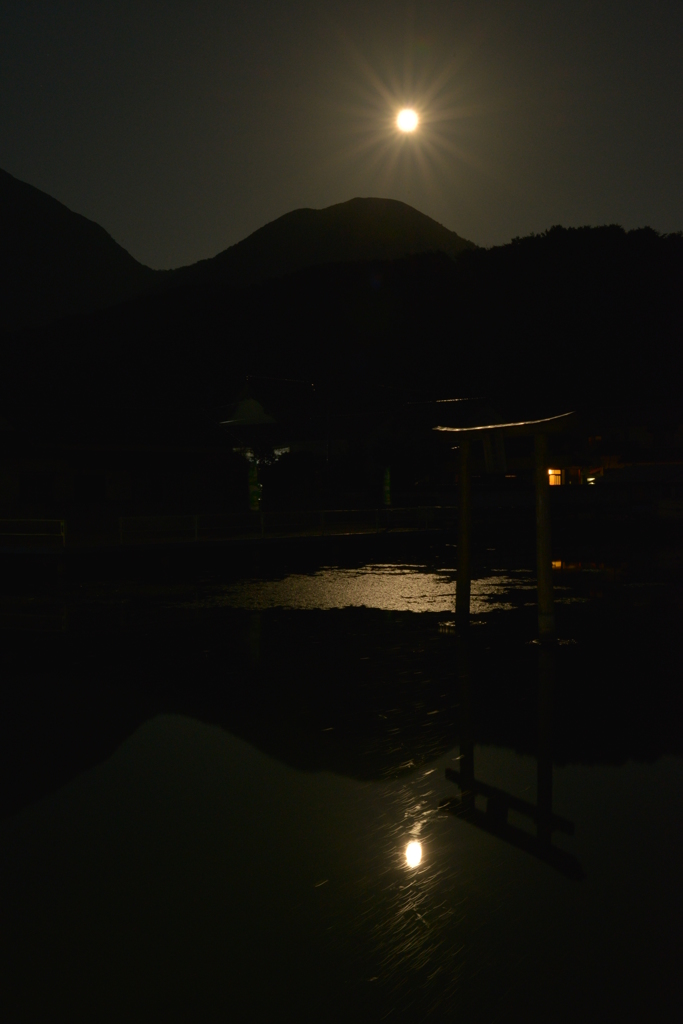 月と池