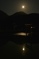 月と池