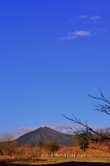 陽春の琴引山
