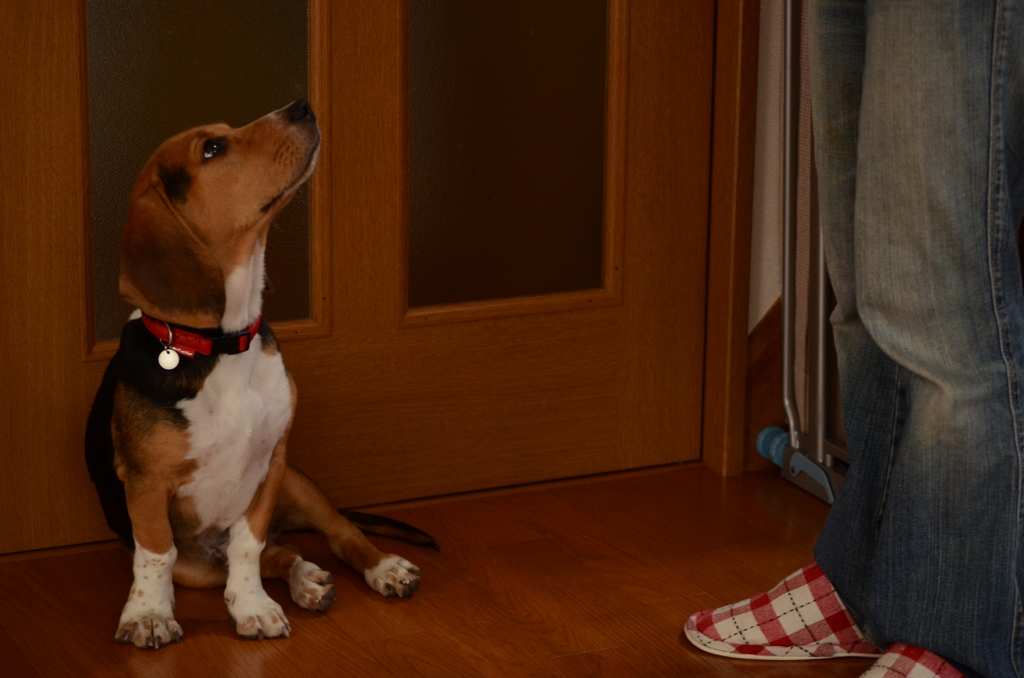 なにくれんのぉ？