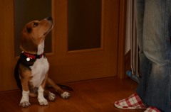 なにくれんのぉ？