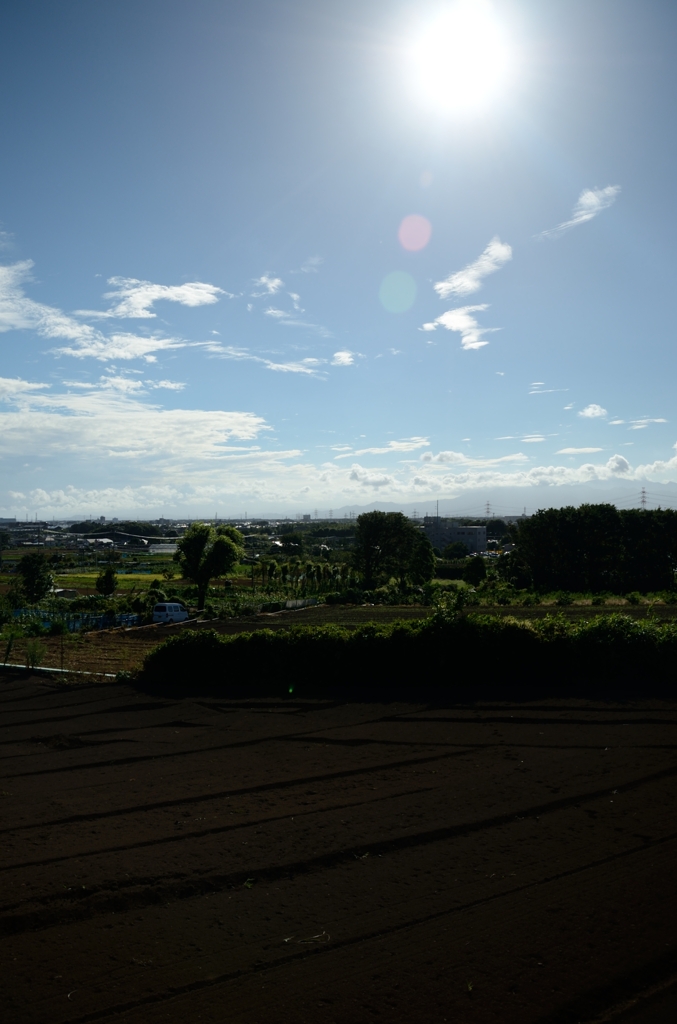 逆光での試し撮り①
