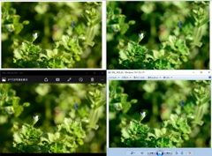 最終的な結論として...