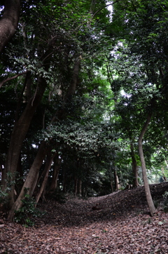 我が町の歴史浪漫