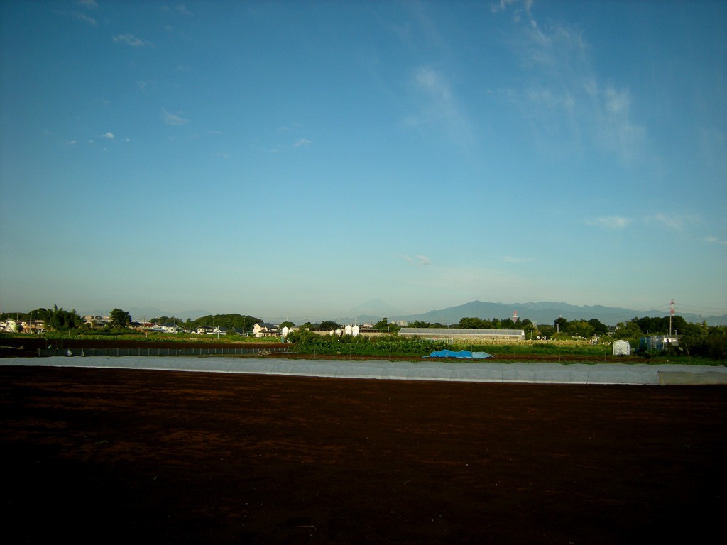 今日の富士山♪