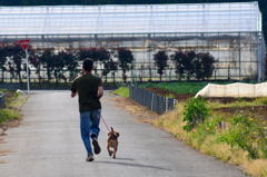 走る男と走る犬