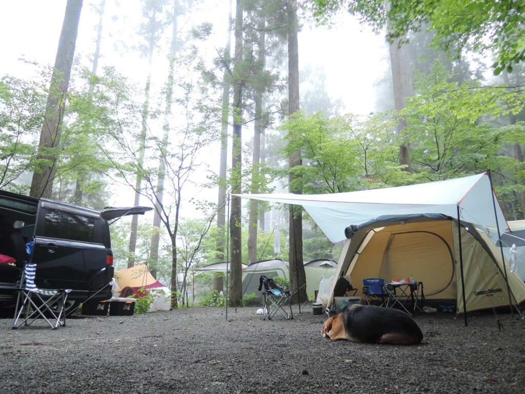 キャンプ場の朝