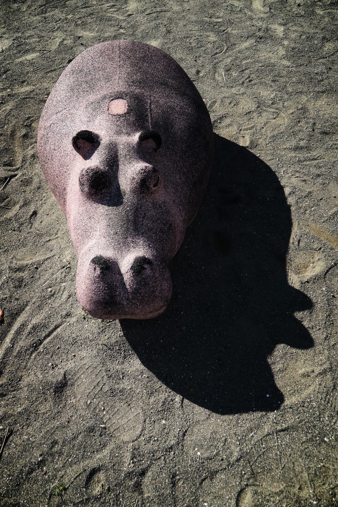 カバ