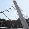 鷺舞橋