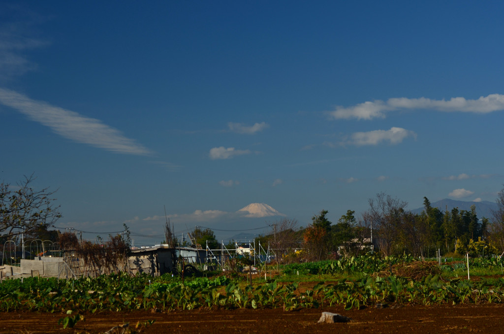 富士山_2013.11.14