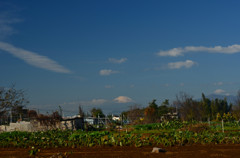 富士山_2013.11.14