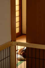 ふて寝