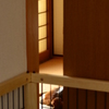 ふて寝