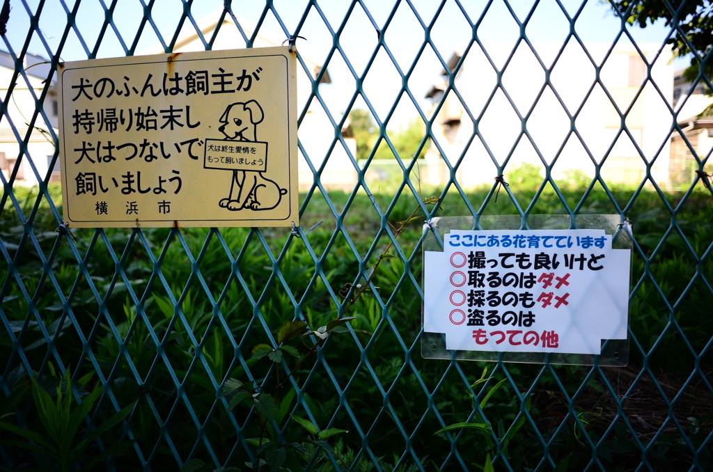 ｢撮っても良い｣と書いてあったので撮ってやったぜ