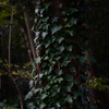 共存共栄