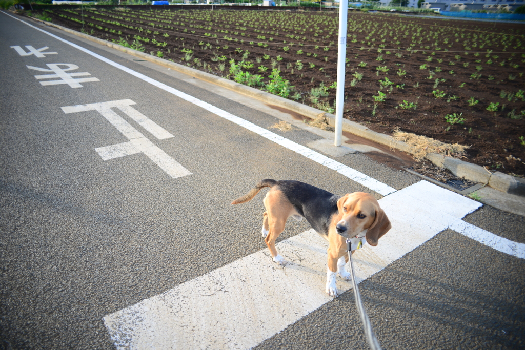 左右の確認