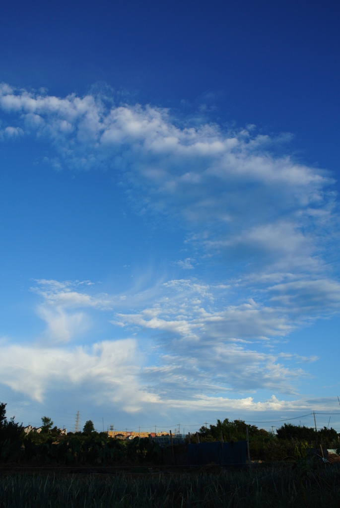 夏雲ノイズ