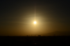 陽