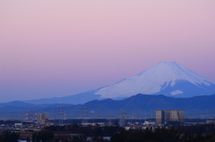 凍る朝