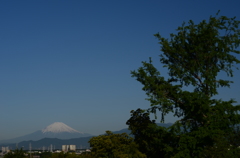 一夜明けて
