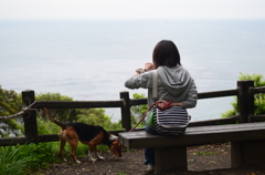 嫁と犬