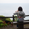 嫁と犬
