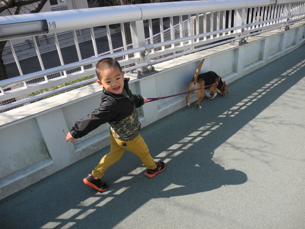 お散歩日和